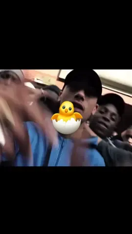 🕺🐥#maes#poussinpiou