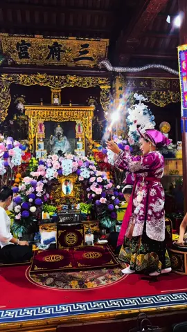 Khắp nơi nơi vang danh mế lục 💕💕💕#trendingvideo #daomauvietnam #viraltiktok 