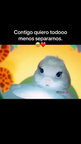 Sígueme,es gratis 🥹❤️