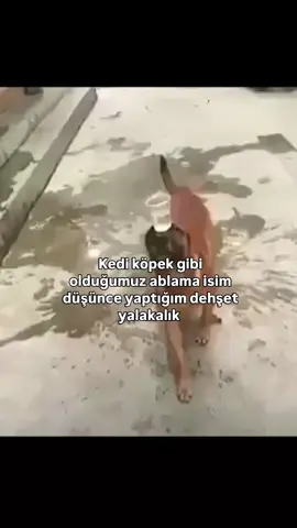 merhaba kraliçe #abla #ablakardeş #ablam #yardım #kardeş 