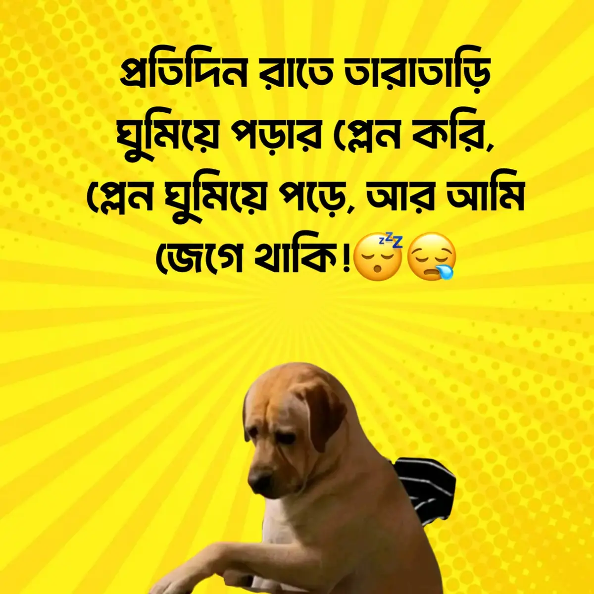 প্রতিদিন রাতে তারাতাড়ি ঘুমিয়ে পড়ার প্লেন করি, প্লেন ঘুমিয়ে পড়ে, আর আমি৷ জেগে থাকি!😴😪 #foryou  #only_shawon_03 