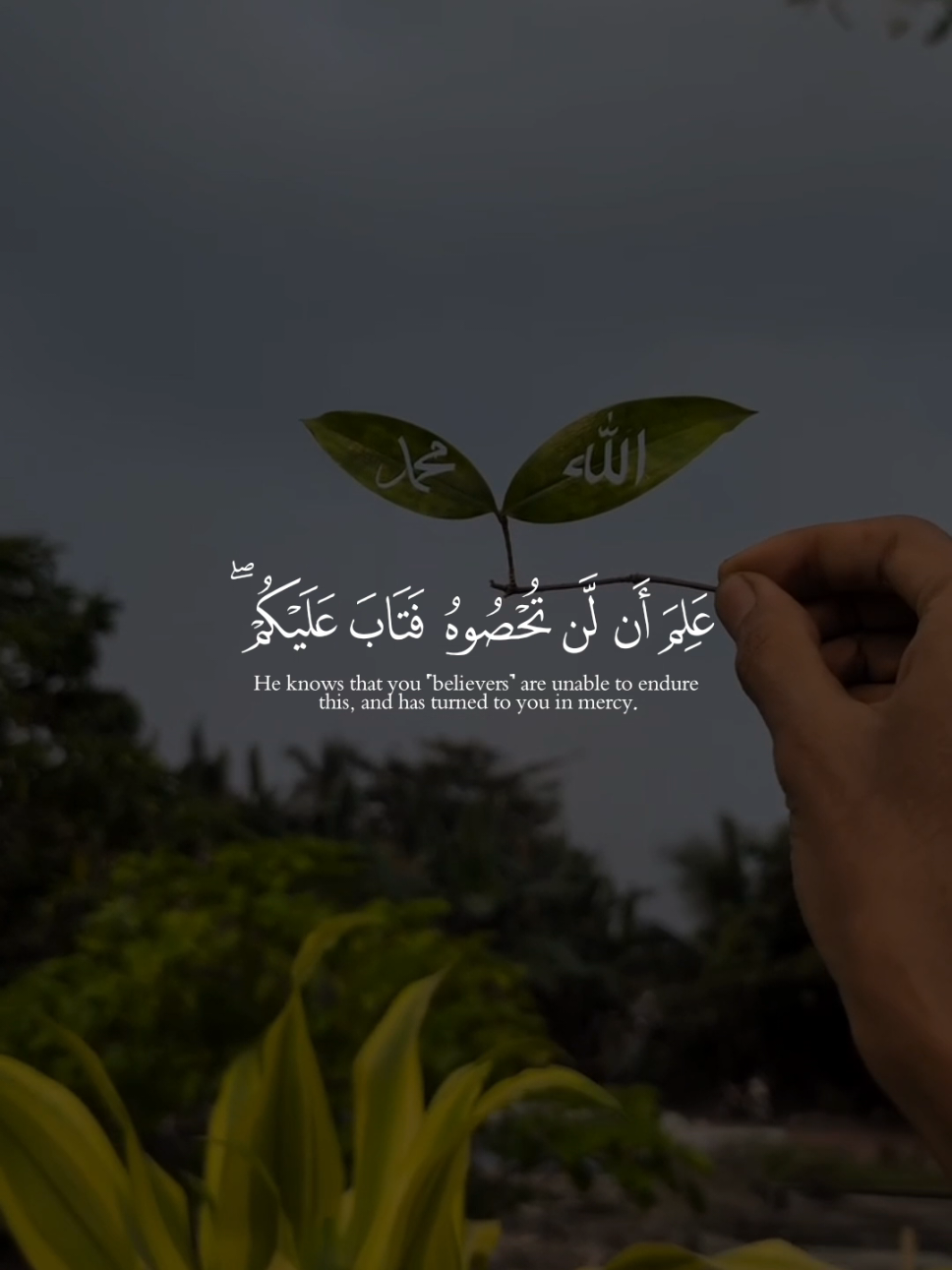 ﴿وَاللَّهُ يُقَدِّرُ اللَّيْلَ وَالنَّهَارَ﴾ 🎧🕊 تلاوة خاشعة للقارئ عبد الرحمن مسعد 🍃 🕊  #عبدالرحمن_مسعد #quran #قرآن #quran_alkarim 