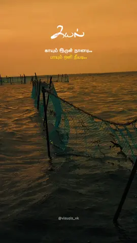 🌊காயும் இருள் நானடி பாயும் ஒளி நீயடி✨✨ 🎬 Visuals: Sea side | Boat | Evening vibes 🎧 BGM: Kayal Movie Music 🎥 @VisualsVK #kayalmovie  #cinematic  #visualsvk  #tamilbgm  #seasideview                       