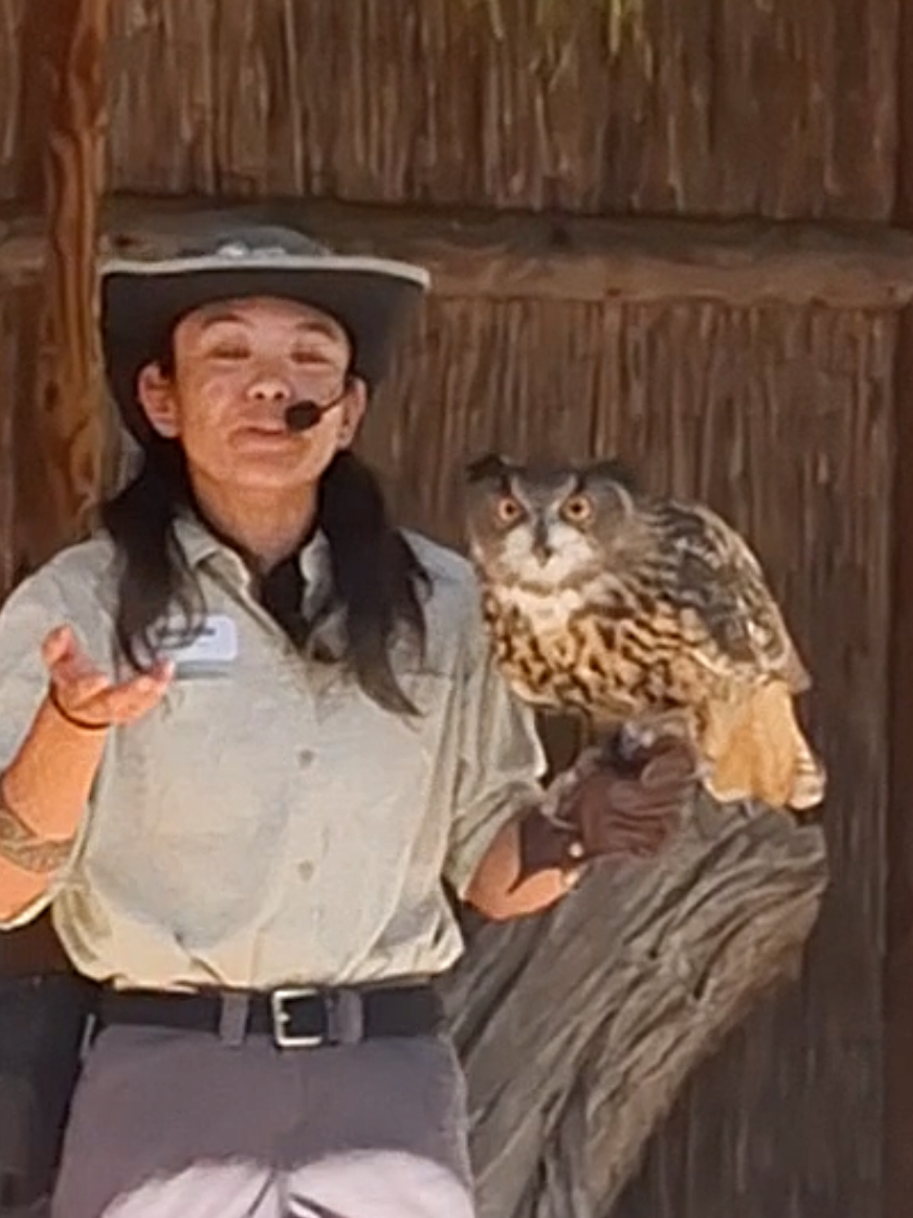 San Diego Zoo Wildlife Alliance, 12pm Africa Rocks Presentation!!🥰 #sandiegozoo #ryanslasher  #zooguy #presentation #owl 