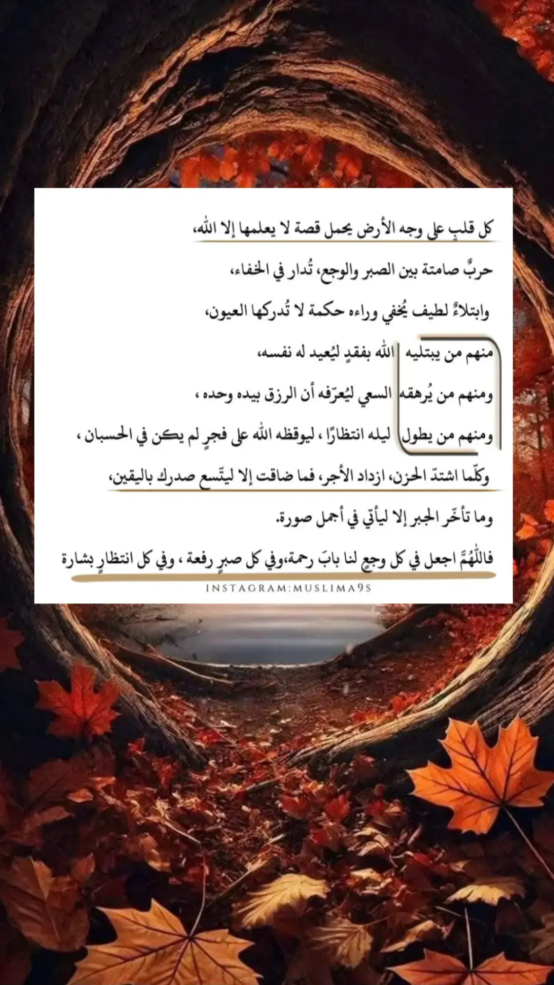 #اقتباسات_عبارات_خواطر #اقتباسات #خواطر #عبارات 