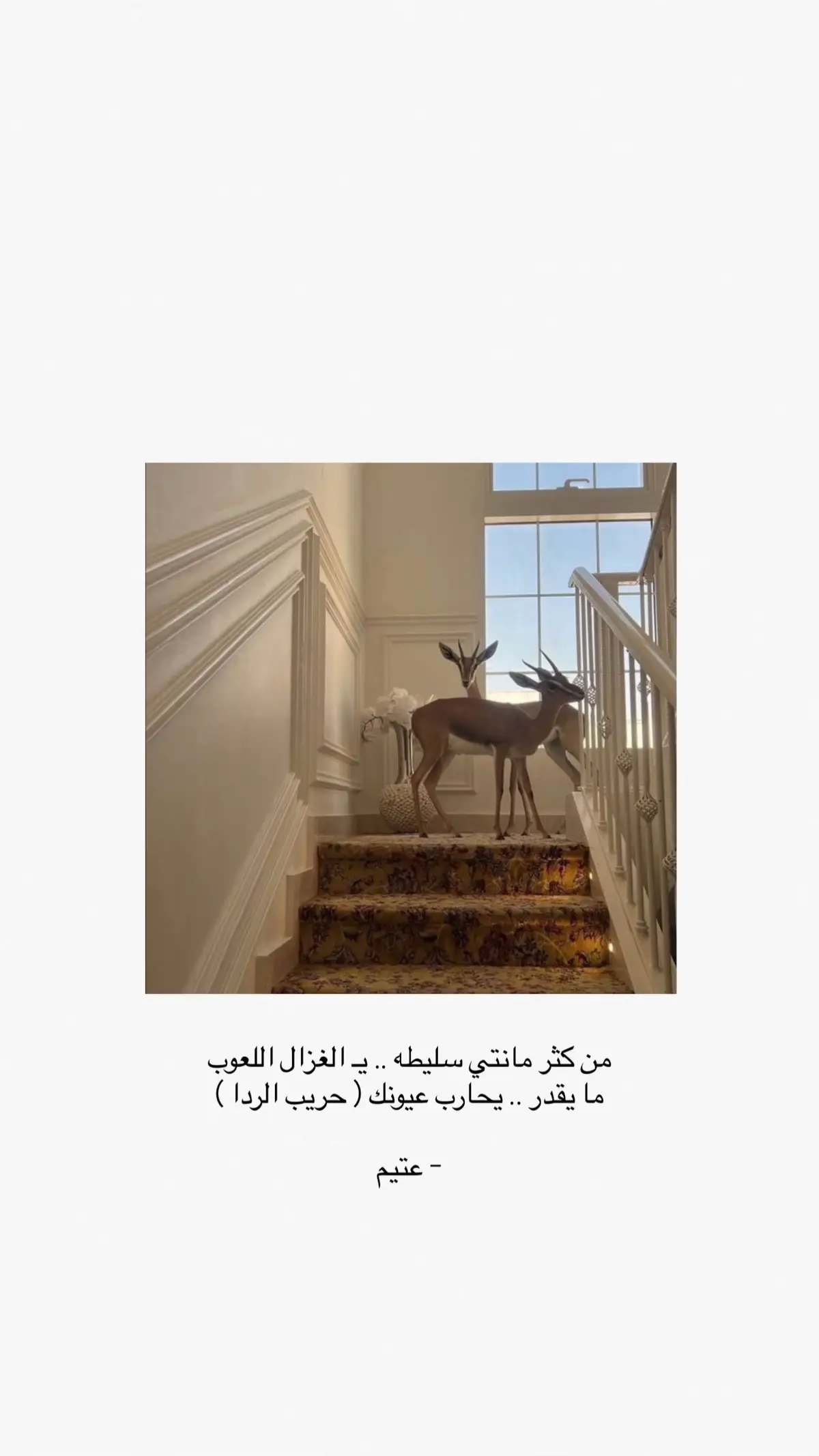 #عتيم  #fyppppppppppppppppppppppp 