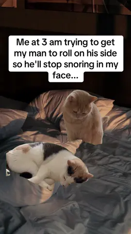 😆 #married #marriagehumor #marriage #husbandwifecomedy #husbandandwife 