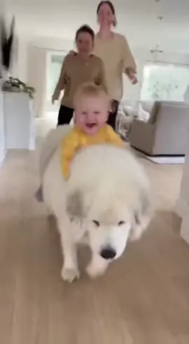 🐕👶 Когда твой первый транспорт — не коляска, а пёс 😄 #собаки #мем #комедия #DogTok #дети