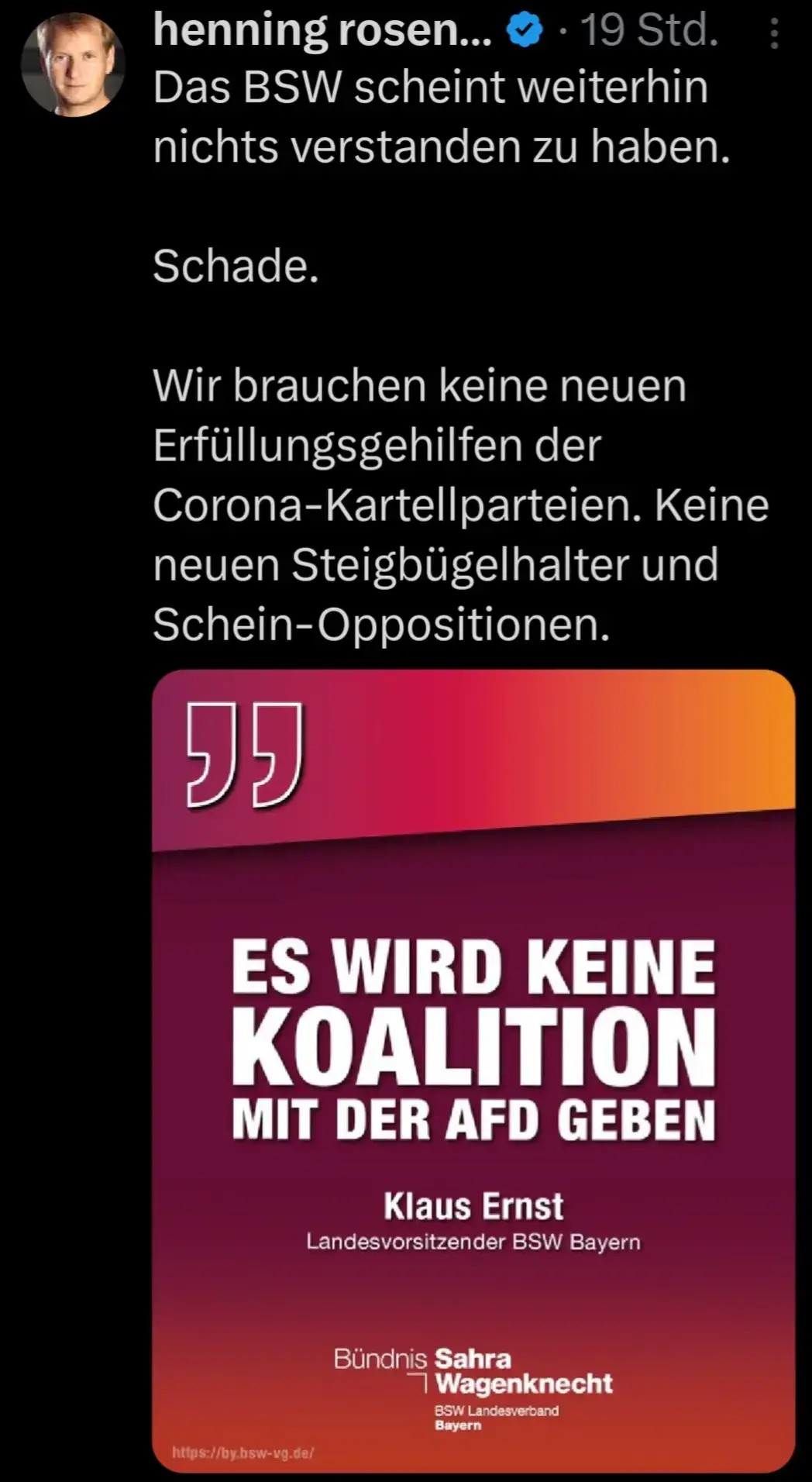 Die AfD wollte das BSW bei den Anstrengungen einer Neuauszählung der Stimmen zur Bundestagswahl unterstützen.UND JETZT DAS! #bsw #neuauszählung #bundestagswahl #afd #brandmauer