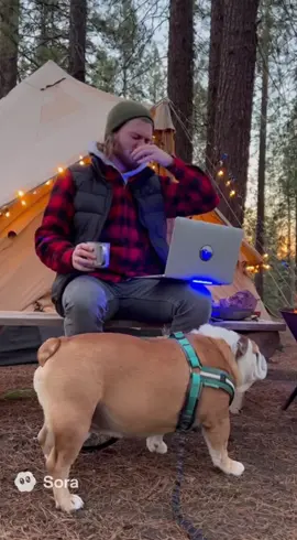 #hate #ai #dog #fart 