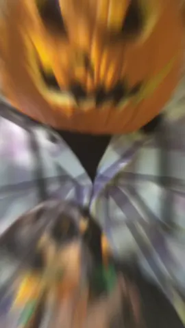 welcome to our pumpkin patch 🎃🎃🎃