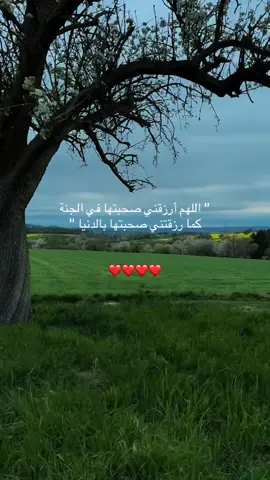 #الصحبة_الصالحة #explore #fyp #4u 