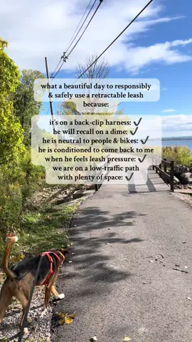 retractables are SUCH an amazing tool when used properly!! right environment, right dog, right handler🙂‍↕️ love giving him this freedom because he’s earned it.  #hottake #retractableleash #flexileash #DogTraining 