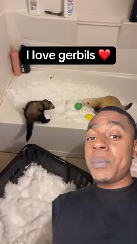 I love gerbils #animals yssn nino reacts to gerbils taking a bath 🛀 #comedytiktok #laugh kids comedy of TikTok #yssn_nino_ #funny 