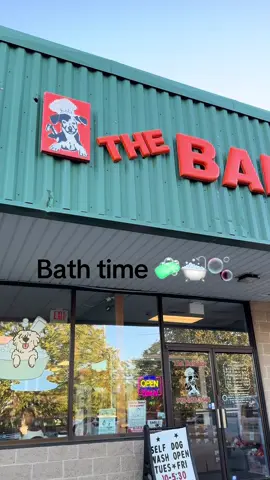 Join me for bath time 🧼🛁🫧 #staffordshirebullterrier #enzothebluestaffordshire #talkingdog #fyp #fy 