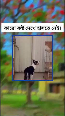 #foryou 
