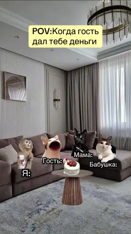 Wenn der Gast dir Geld gegeben hat #meme#lustig#witz#humor#katze 