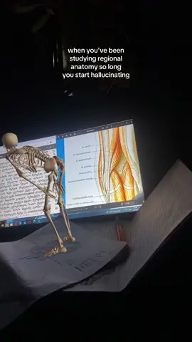 #fyp #global #medicinestudent #anatomy 