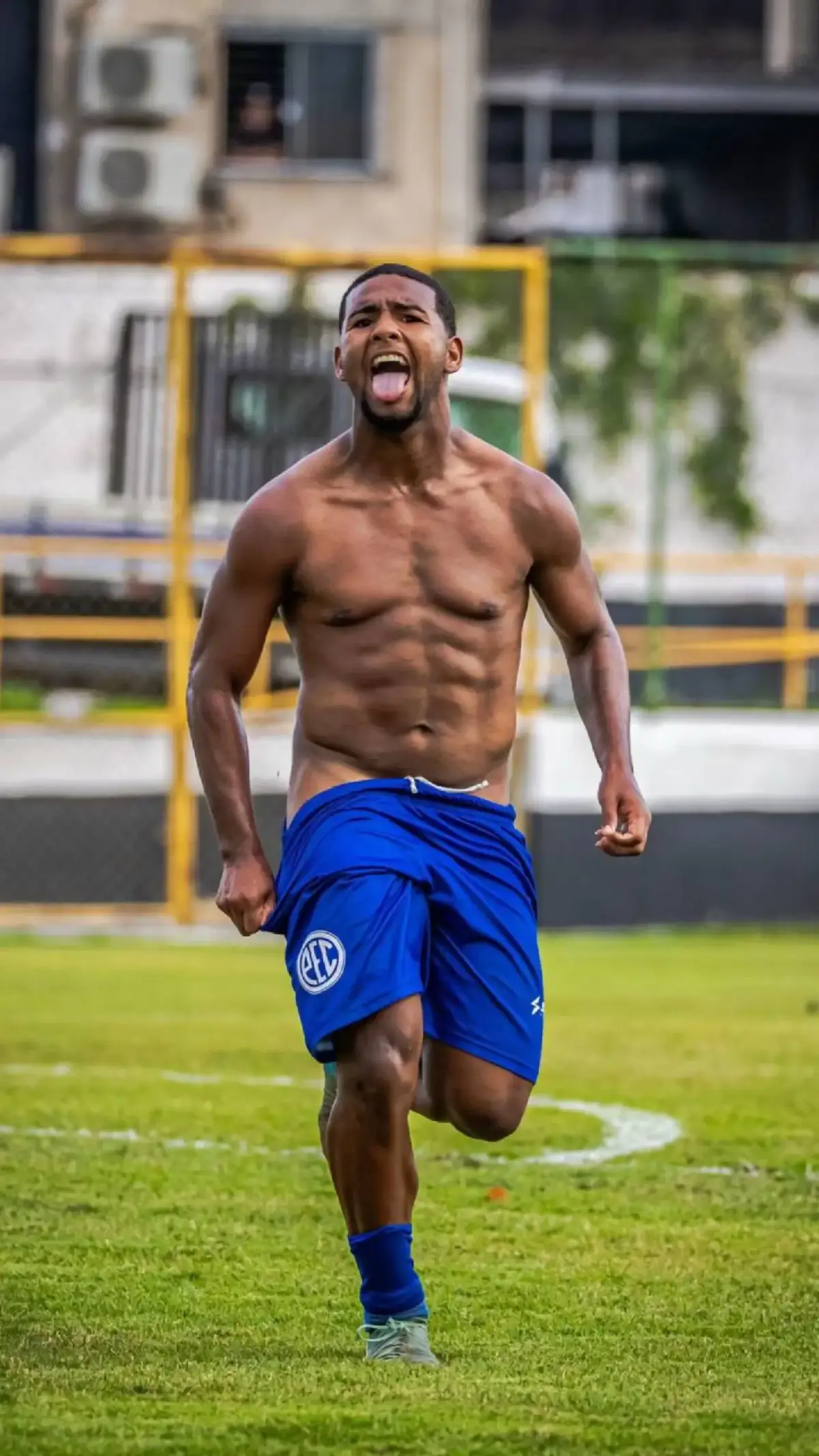 🥵 #gatosdabola #gatosdofutebol #futebol #mariachuteira 