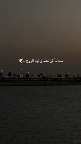#مساء_الخير #اكسبلور #fyp #foryou 