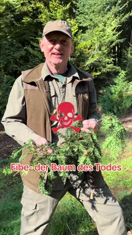Eibe ist die Giftpflanze des Jshres 2011! Möchtest Du mehr über die Natur lernen, melde dich bei www.challenge-mot.com #deutschland🇩🇪 #outdoor #training #survival #baum 