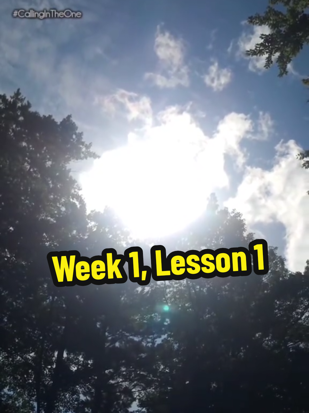 Week 1, Lesson 1 Expanding Your Capacity to Love and Be Loved WEEK ONE ~ Preparing for Love  Too often, we believe our private agonies are hours alone to bear, forgetting that we are part of a vast collective where the majority of our concerns are shared with others.  This week, we will: ✨ Explore the impact that the culture around us is having on our collective ability to create loving and meaningful relationships  ✨ Commit to growing your capacity to love and be loved as the foundation from which to create healthy, happy love  ✨ Prepare yourself for love by exploring and expanding your capacity for healthy interdependence  ✨ Cultivate a vision of great happiness and love, and begin organizing your life around a future of love fulfilled  ✨ Begin taking specific actions that are generative of that future fulfilled Day One of Week One 👇🏼💝 #CallingInTheOne  Daily Practice is at the end. Be open & nonjudgmental 🙏🏼