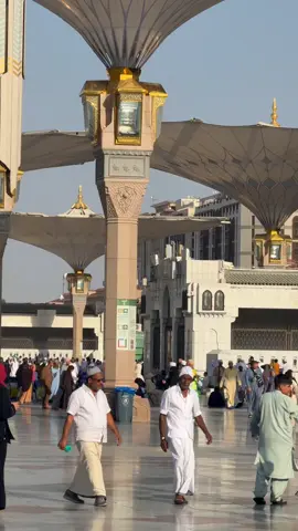 #masjidnabawi #mashallah❤️🥀😍❤️🥀😍 #viral #video #ferayou 