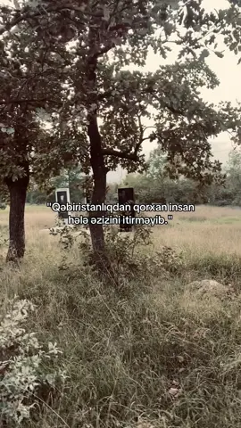 #tiktok #foryou #viral 