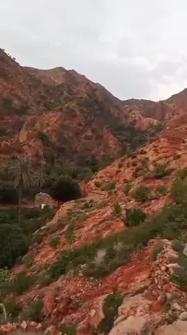 #الزريقة #مسيحه