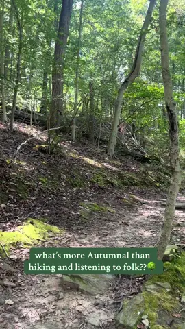I dunno about you, but it’s my favorite fall activity☺️  #folk #americana #thewildwoods #westvirginiarain #Hiking 
