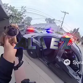 WASH MY BELLY | #pibble #pibbleedit #iampibble #edit #fyp  @Logan 