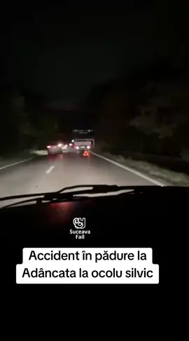 Accident în pădure la Adâncata la ocolu silvic #suceava #romania 