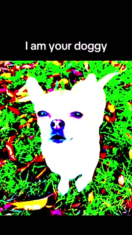 Let him out let him out. Let him out. Let him out. Let him out. Let him out. Let him out. Let him out. Let him out. Let him out. Let him out. Let him out. Let him out. Let him out. Let him out. Let him out, let him out, let him out. Let. Him. Out. . . . ALL CREDS TO destinyschis#stopit##STOP##STOPIT##ITHURTS##yournotmymother