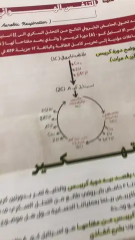 طبعا هاي طريقه استاذ حسن فلاح 😂🤍#الشعب_الصيني_ماله_حل😂😂 #foryou #دفعه2025 #وزاري #احياء 