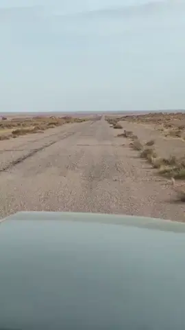 #باديه_السماوه #بادية_العراق #البداوه_مالها_مثيل #❤️ #العراق_السعوديه_الاردن_الخليج 