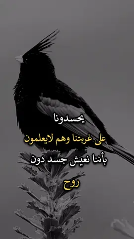 #عباراتكم_الفخمه📿📌 #عبارات #اجمل_عبارة_راح_ثبتها📌 #افضل_عبارة_لها_تثييت 