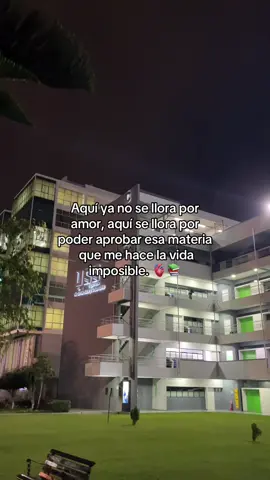#llora #amor #aprobar #materia #uss 
