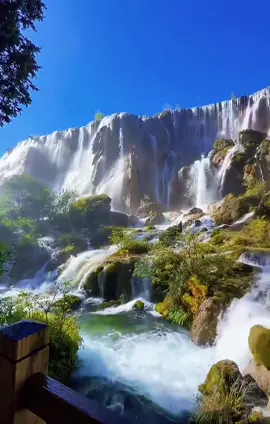 Beautiful scenes in autumn Cảnh đẹp mùa thu