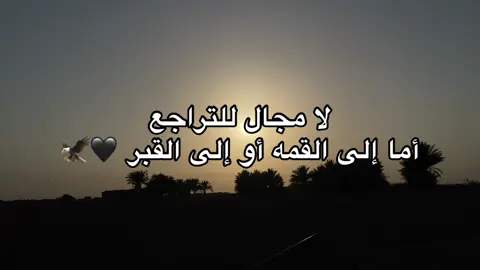 #standwithkashmir #تصويري_احترافي_الاجواء👌🏻🕊😴 #كسبلور_explor #عباراتكم 