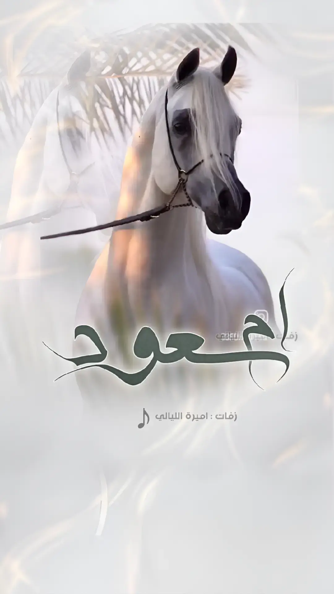 #شيلة_باسم_ام_سعود #الدره_الثمينه #شيله_باسم_ام_سعود #شيلة_لام_سعود