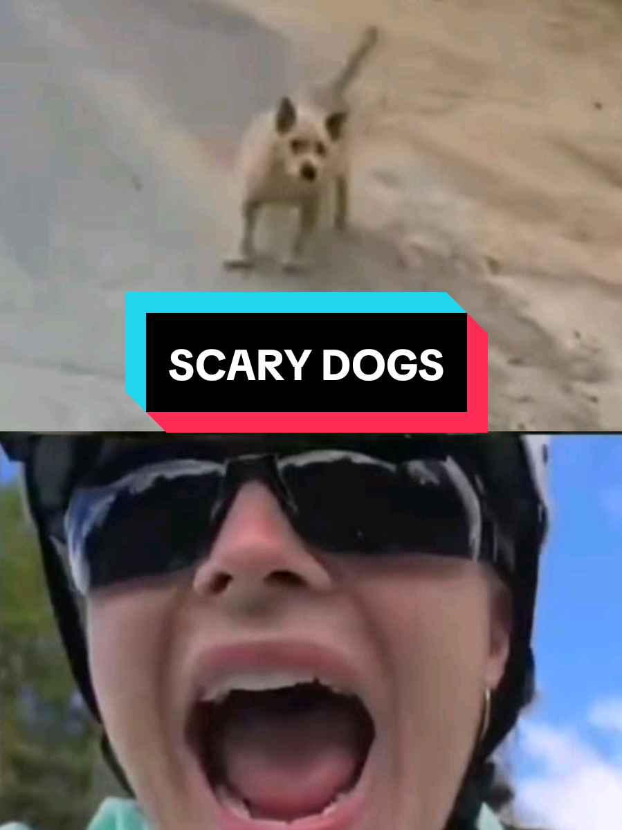 Cycling away from dogs during the N2 trip 🤣 #qoqsik #dog #cycling #twitch #fyp 