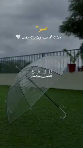 #دهوك_زاخو_سليماني_ئاكري_ئامیدی_هولیر #سوريا_تركيا_العراق_السعودية_الكويت_عمان #ماموستا_تحسین_دوسکی #رعد_الكردي #emir🤎🖤 