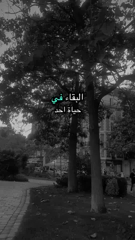 #ما عدت أبحث عن البقاء في حياة احد،ولا أرجو احد أن يفهمني#لايكات #خواطر #عبارات #for 