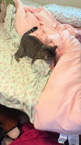 Lucifer casually trying to suffocate Shitty 🫠🫠