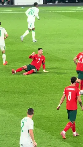 Portugal vs Ireland #portugalvsireland #cristiano #ronaldo  Foul? 😏
