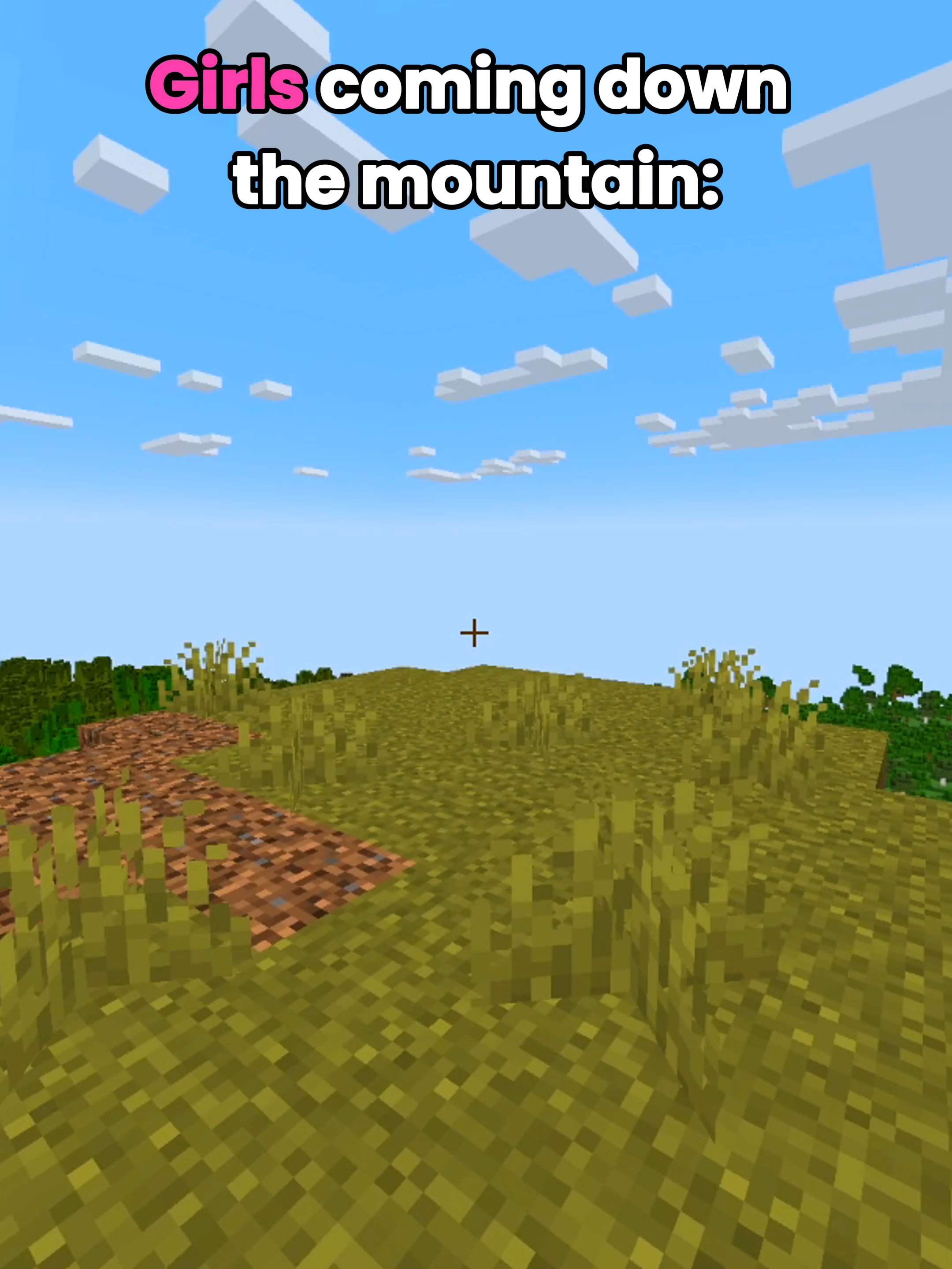 Minecraft meme #Minecraft #minecrafter #minecraftmeme #minecraftmoment