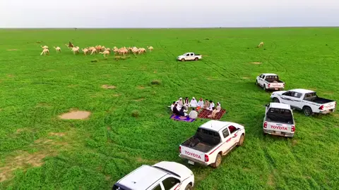 تبارك الرحمن ربي يحفظكم 