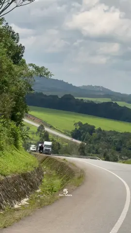 📍Name the beauty..>>❤️#suresafaris #fyp #visituganda #roadtrip #a 