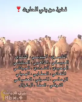 الي نسيتهم اعذروني #بني_الحارث #501 #fyp  #foryou #explore 