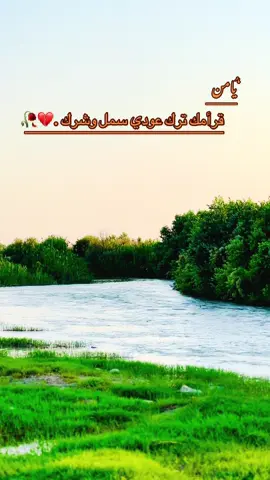 #ابو_سمره_الجبوري #🥀💔 #اعادة_النشر🔃 #عباراتكم_الفخمه📿📌 #شعراء_وذواقين_الشعر_الشعبي🎸 